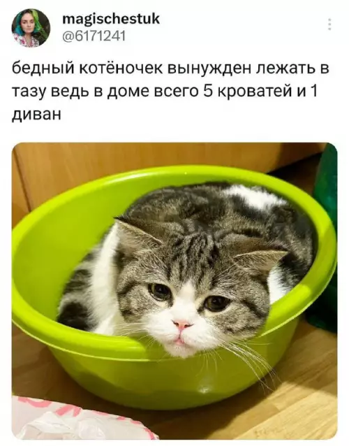 Смешная картинка №694383