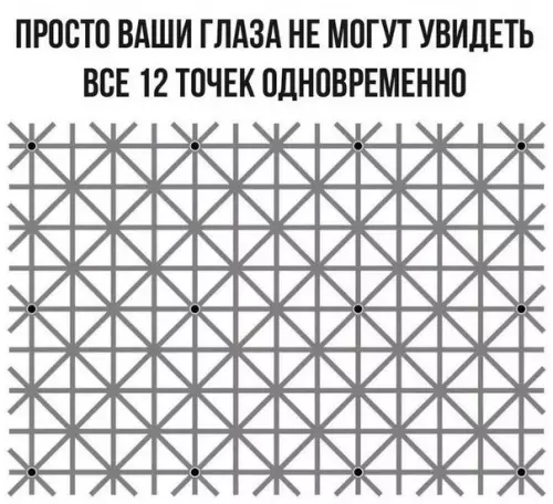 Смешная картинка №174362