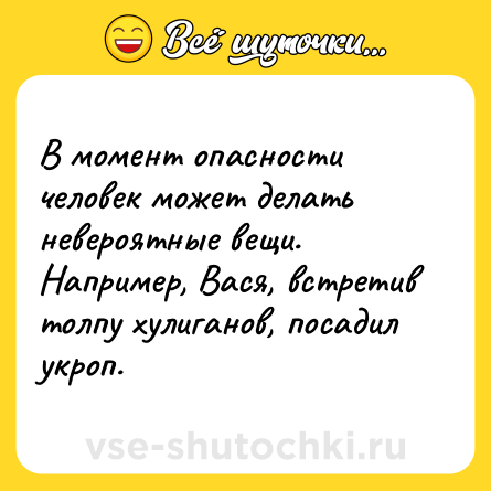 Шутка: В момент опасности человек может делать невероятные вещи. Например, Вася, встретив толпу хулиганов, посадил укроп.