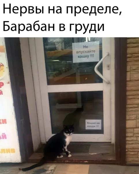 Смешная картинка №470184 Вижу рифму