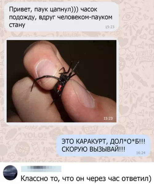 Смешная картинка №457462