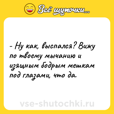 Шутка: - Ну как, выспался? Вижу по твоему мычанию и изящным бодрым мешкам под глазами, что да.