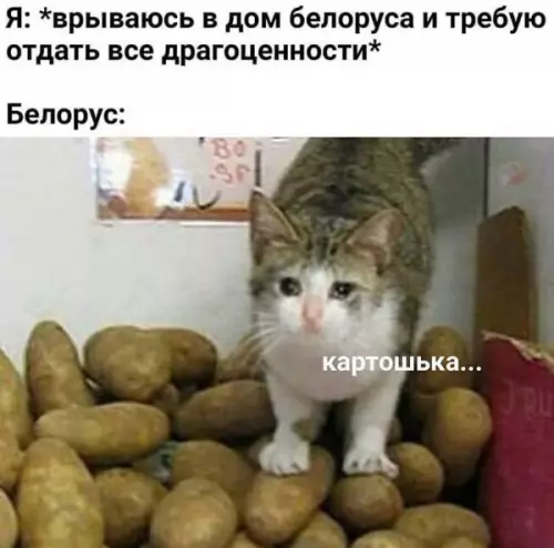 Кража в доме белоруса