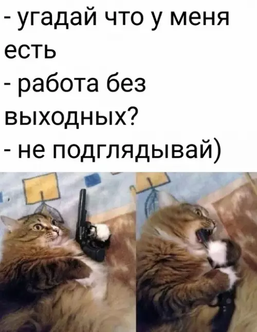 Смешная картинка №667624