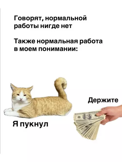 Идеальная работа найдена! 😼💸 - Говорят, нормальной работы нигде нет Также нормальная работа в моем