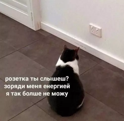 Смешная картинка №789043