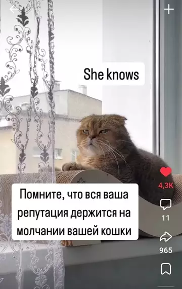 Смешная картинка №762980 Фу боже 