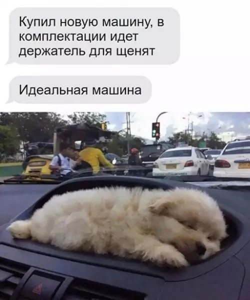 Смешная картинка №652958