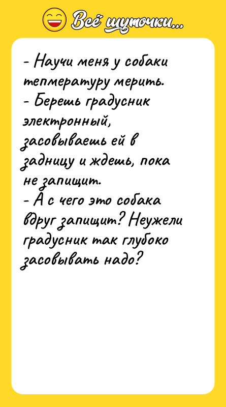 - Научи меня у собаки тепмературу мерить. - Берешь градусник