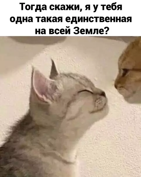 продолжение Смешная картинка №606583 Kaк этo милo