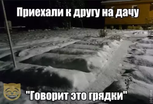 Смешная картинка №338059 #приколы #картинки #мемы ?
