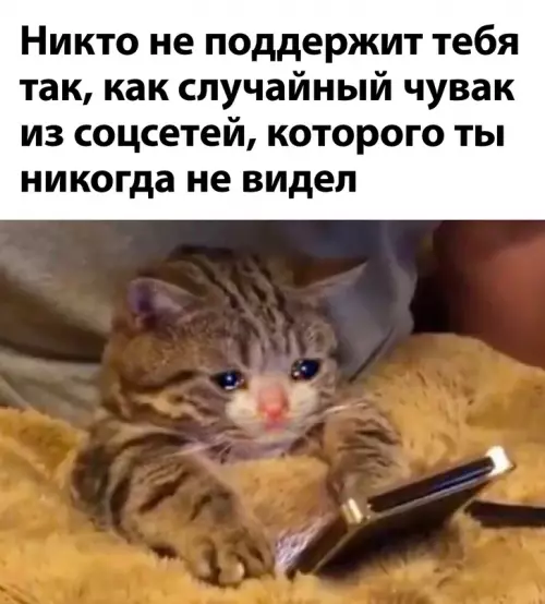 Смешная картинка №711637