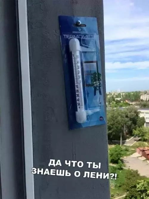 Смешная картинка №673206 Да что вы знаете о лени Укажите ваши недостатки Лень И всё Лень перечислять