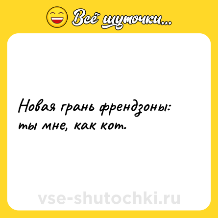 Шутка: Новая грань френдзоны: ты мне, как кот.