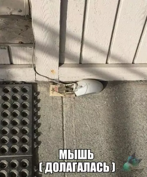 Смешная картинка №312299