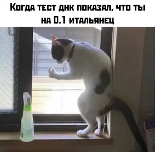 Смешная картинка №413231
