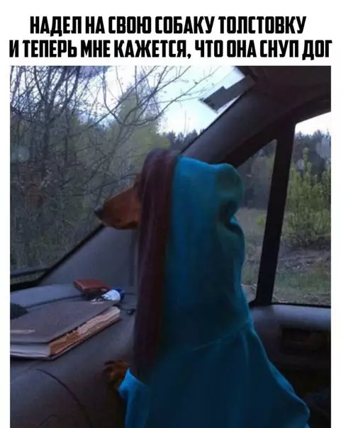 Смешная картинка №221392