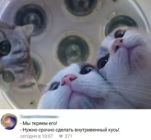 Смешная картинка №267358
