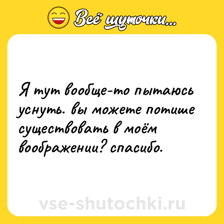 Шутка: Я тут вообще-то пытаюсь уснуть. вы можете потише существовать в моём воображении? спасибо.