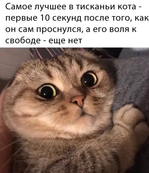 Смешная картинка №660690