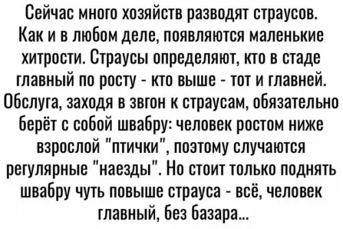 Смешная картинка №203567