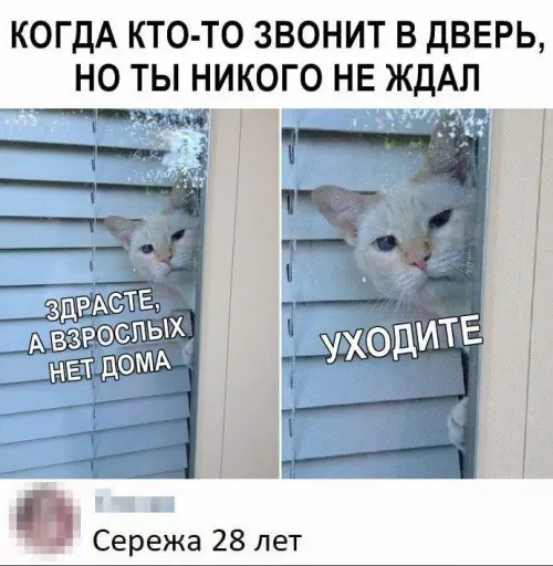 Смешная картинка №715196