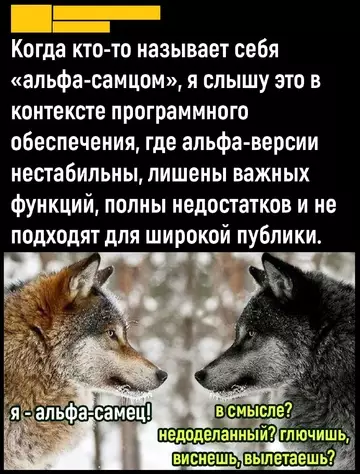 Смешная картинка №740687 Альфа самец