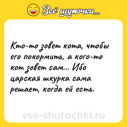 Шутка: Кто-то зовет кота, чтобы его покормить, а кого-то кот зовет сам... Ибо царская шкурка сама решает, когда ей есть.