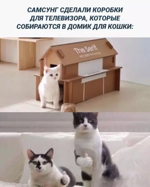 Смешная картинка №677028