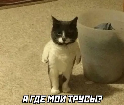 продолжение Смешная картинка №567422