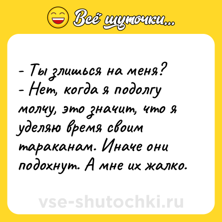 Шутка: - Ты злишься на меня?<br>- Нет, когда я подолгу молчу, это значит, что я уделяю время своим тараканам. Иначе они подохнут. А мне их жалко.