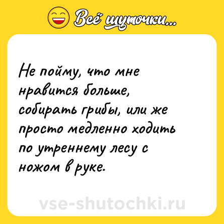 Шутка: Не пойму, что мне нравится больше, собирать грибы, или же просто медленно ходить по утреннему лесу с ножом в руке.