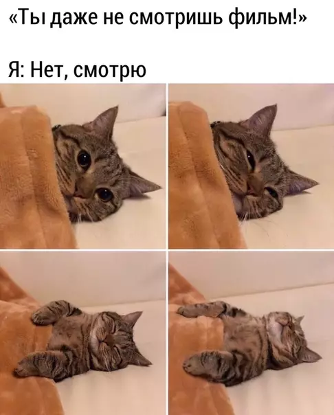 Смешная картинка №490960