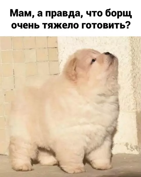 Смешная картинка №594441 Мaлeнький xитpoжoп