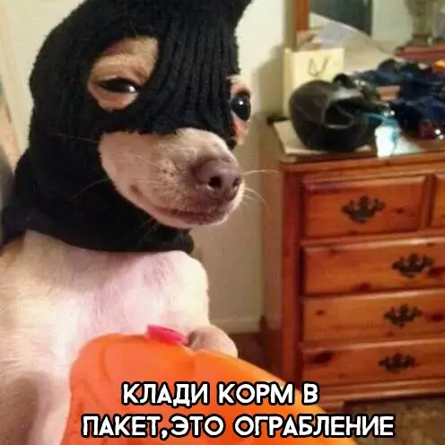 Смешная картинка №286243