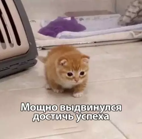 Смешная картинка №780894