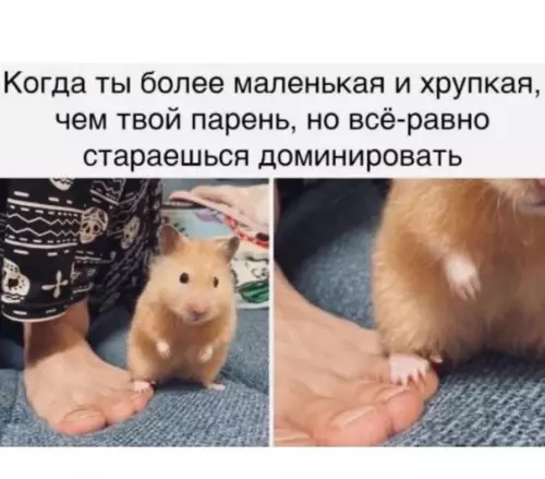 Смешная картинка №593342 И он делает вид, что ты главная