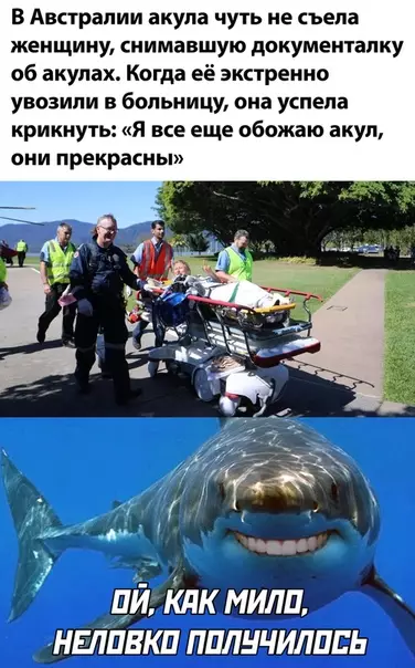 Смешная картинка №506671