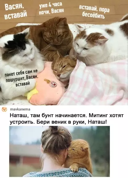 Смешная картинка №527570 Пyшиcтыe зaгoвopщики