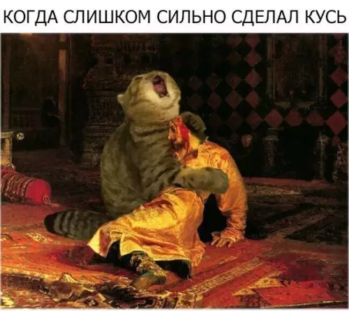 Смешная картинка №505519 Котики тоже сожалеют о поступках..