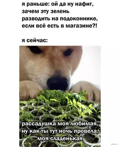 Смешная картинка №640778