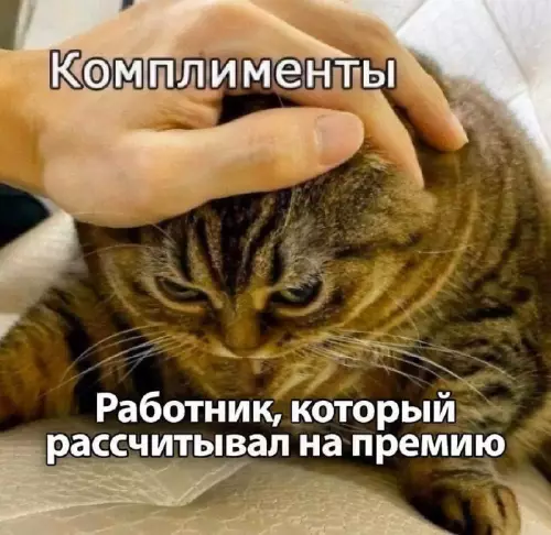 Смешная картинка №742067