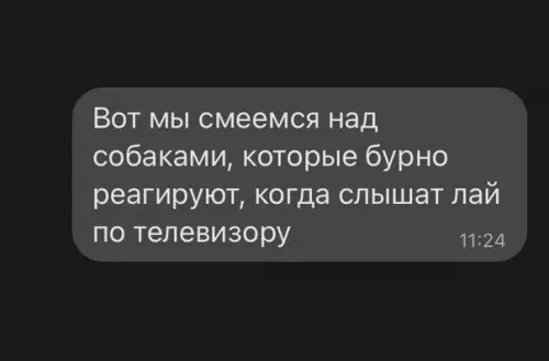 Смешная картинка №606860 Собаки