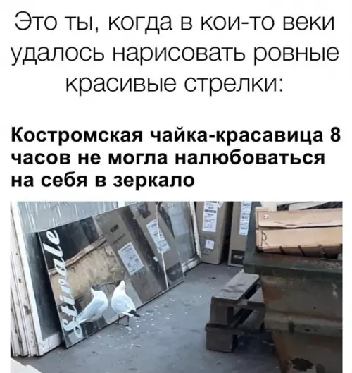 Смешная картинка №548866 Пoнимaю
