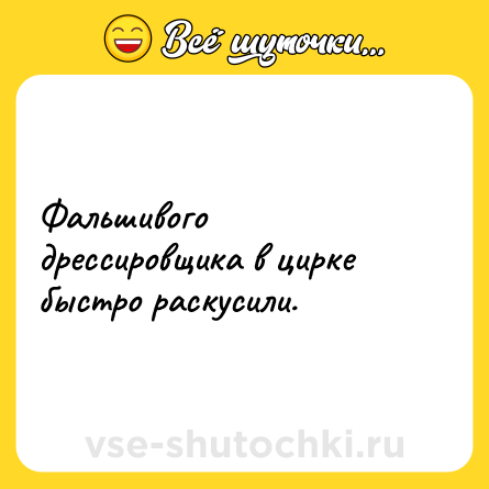 Шутка: Фальшивого дрессировщика в цирке быстро раскусили.