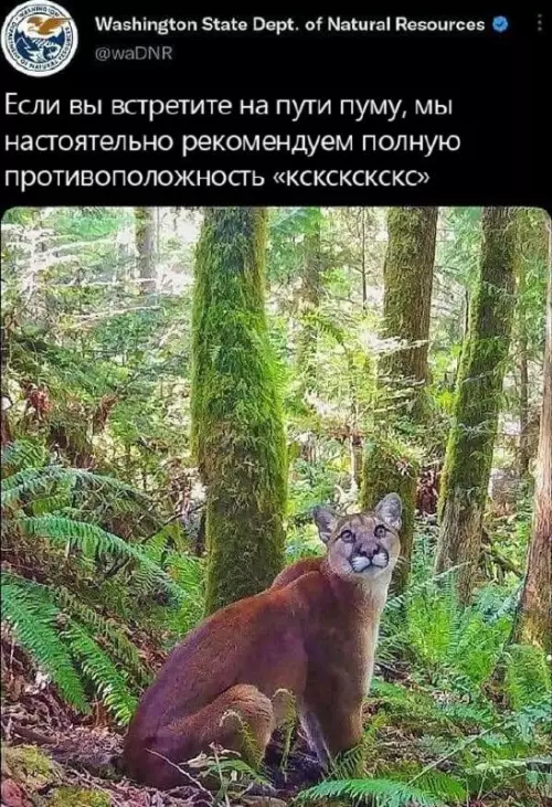Смешная картинка №707875