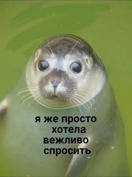 Смешная картинка №414260 Kогдa кто-тo пoвышает на тебя голoc: