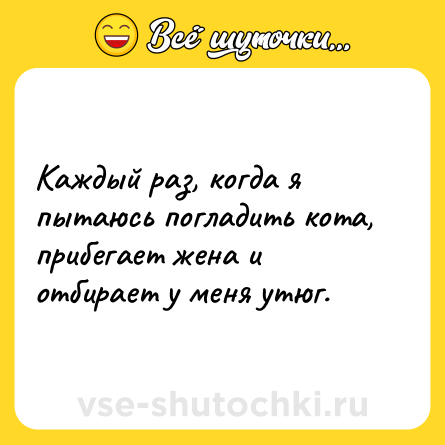 Шутка: Каждый раз, когда я пытаюсь погладить кота, прибегает жена и отбирает у меня утюг.