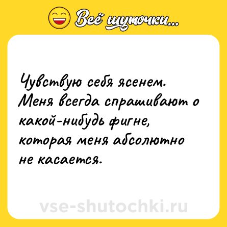 Шутка: Чувствую себя ясенем. Меня всегда спрашивают о какой-нибудь фигне, которая меня абсолютно не касается.