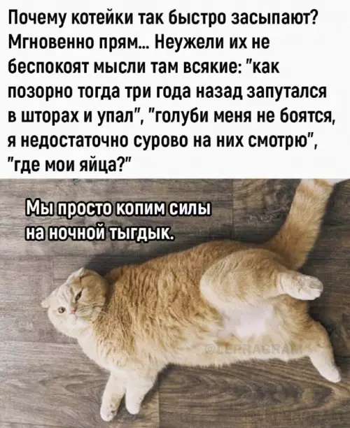 Смешная картинка №660920